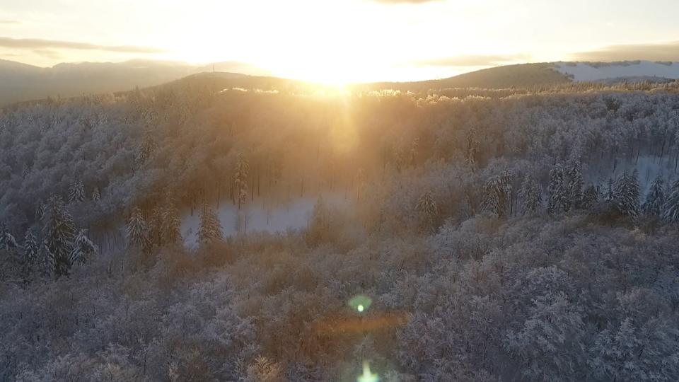 Winter