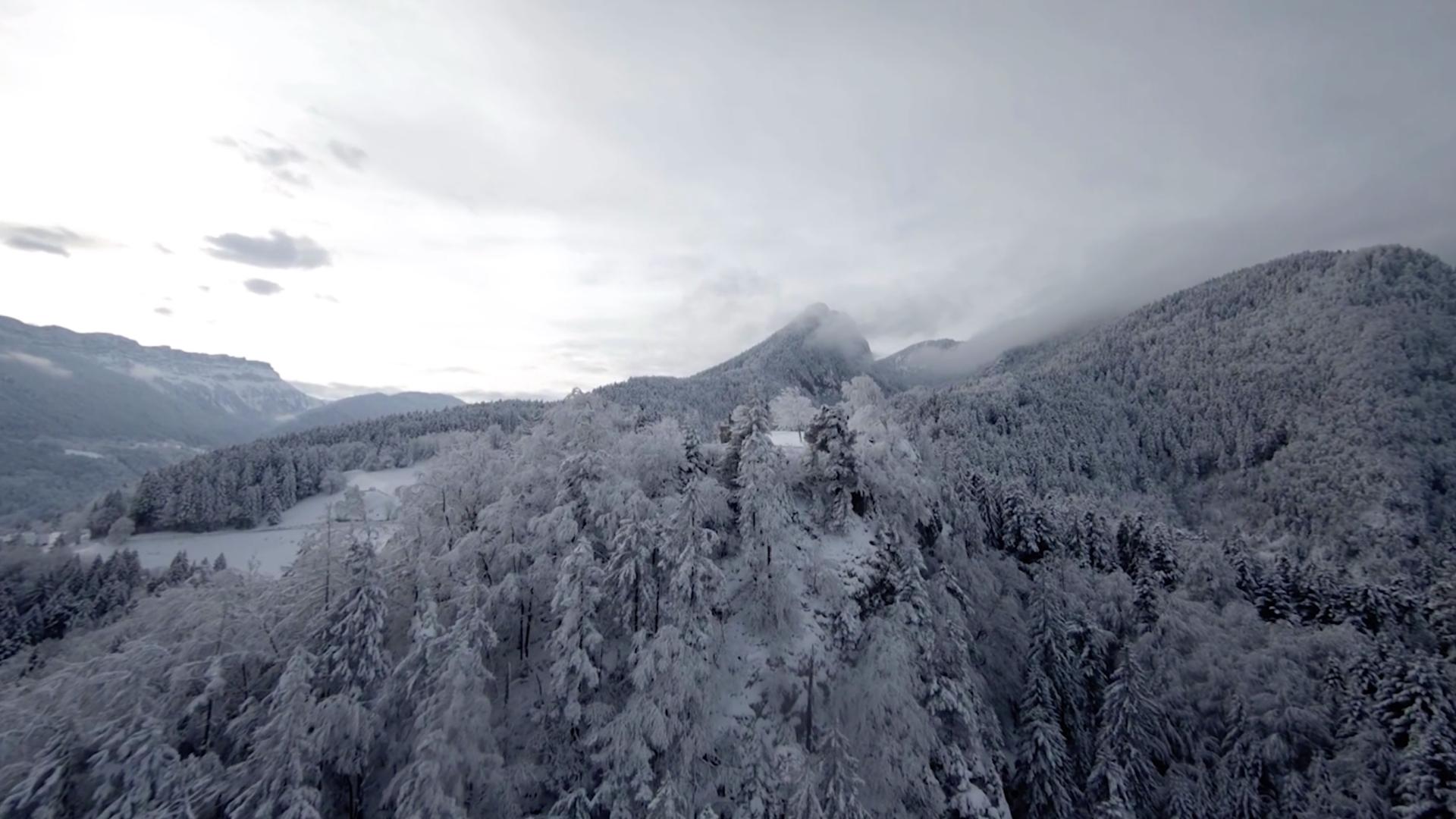 Chartreuse FPV