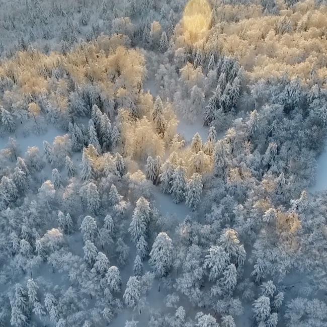 Winter