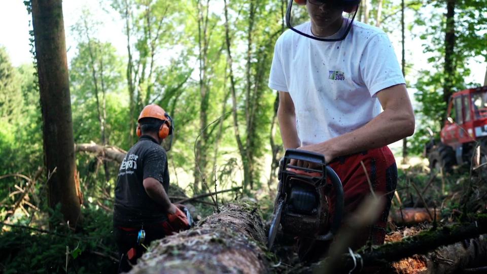 Vidéo Isère, le bois local pour tous - Isère Département