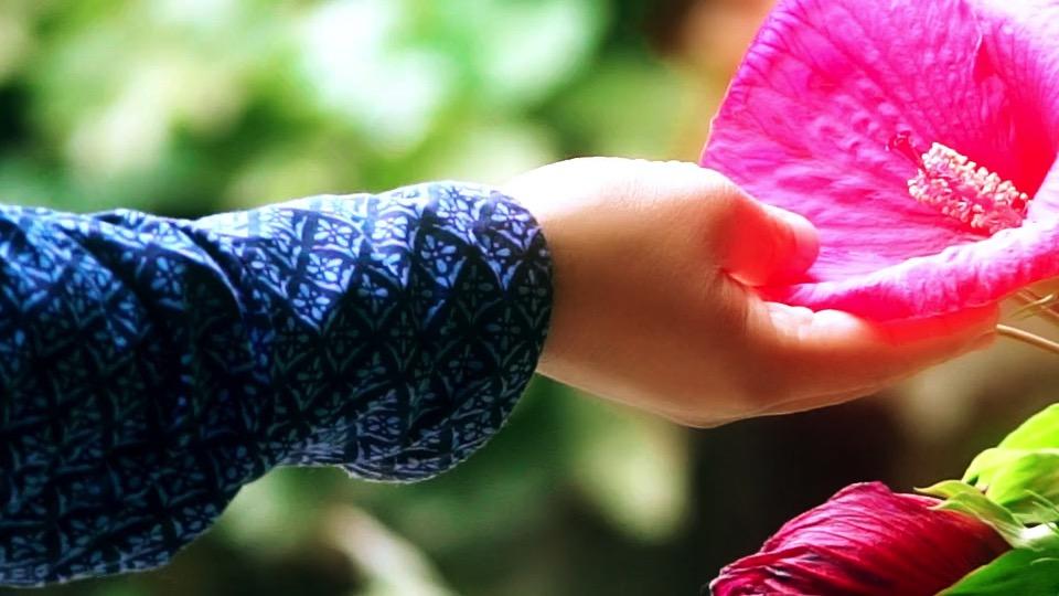 Vidéo Jardins des Fontaines Pétrifiantes